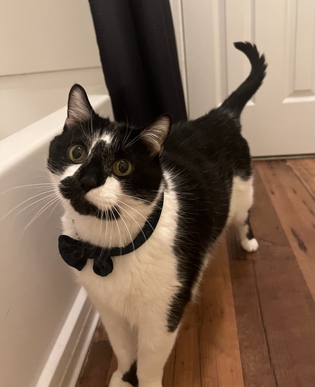 Loki