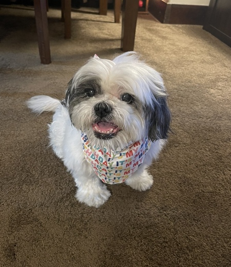 Cooper