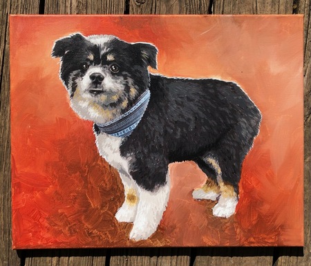 maisey