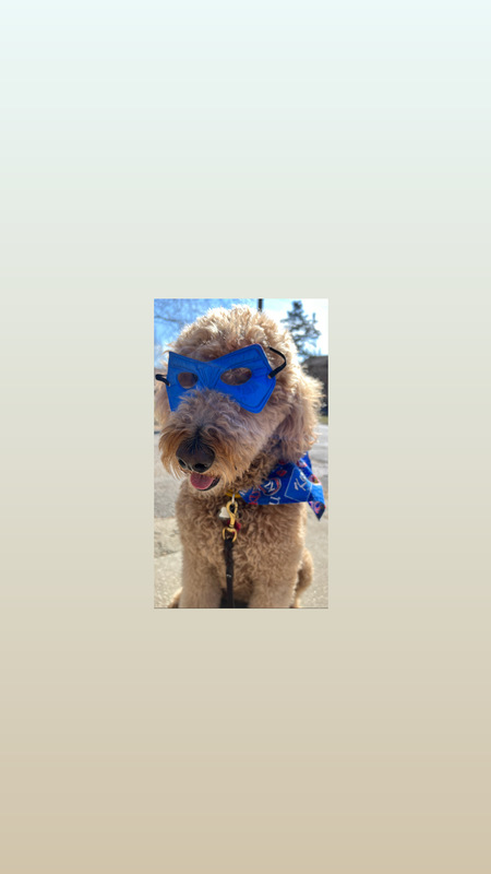 Super Stella