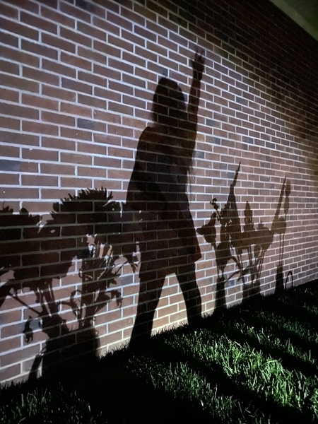 Garden of Shadows