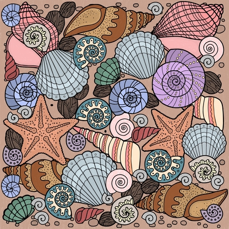 Seashells 