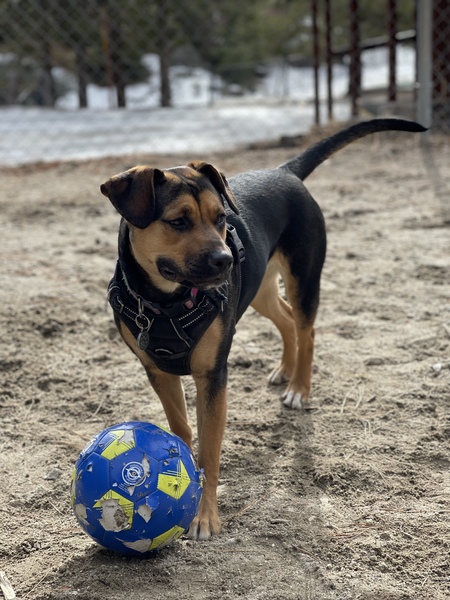 Luna-Dipper 