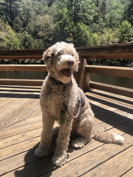 Jude
