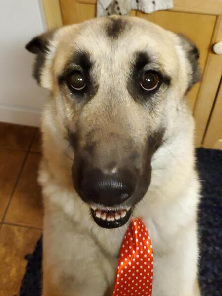 Milo