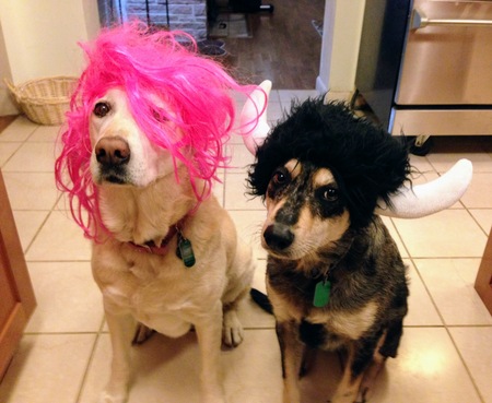 Bailey & Ginger