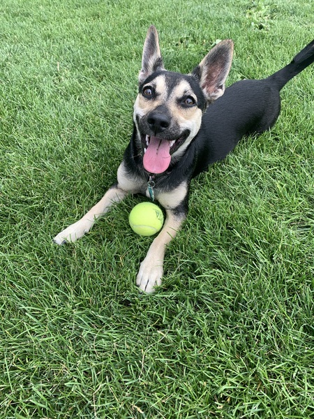 Tula