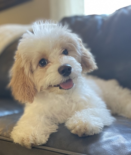 Lucy