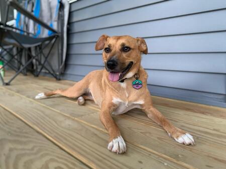 Roxy