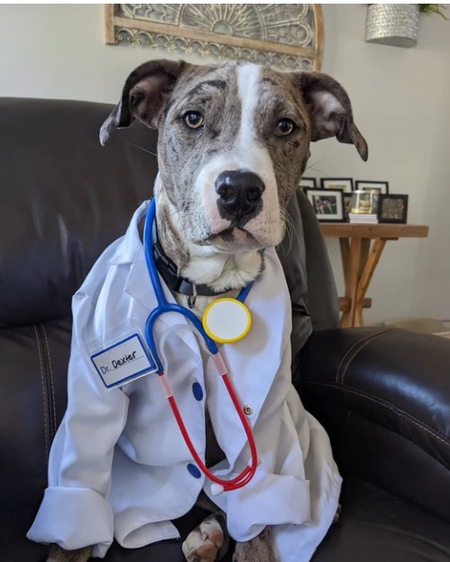 Dr. Dexter
