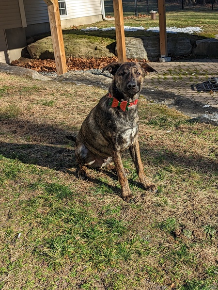 Atlas (formerly Rocket)