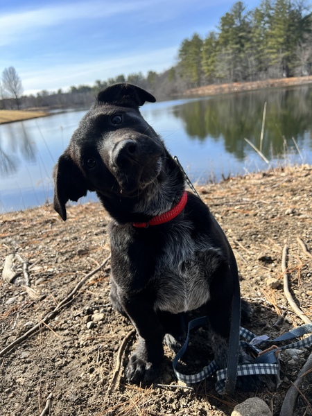 Jax