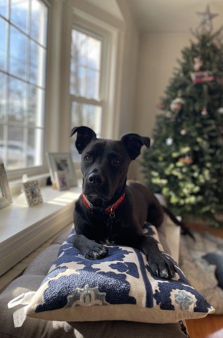 Tucker