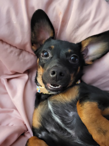 Zoey LuLu