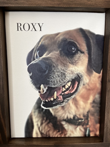 Roxy