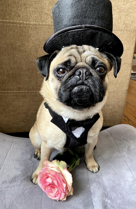 Milo Alexander 