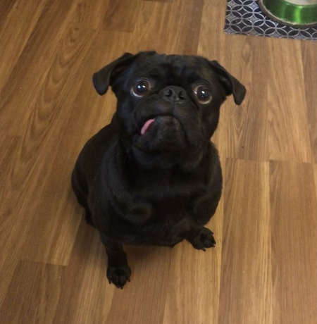 Edgar