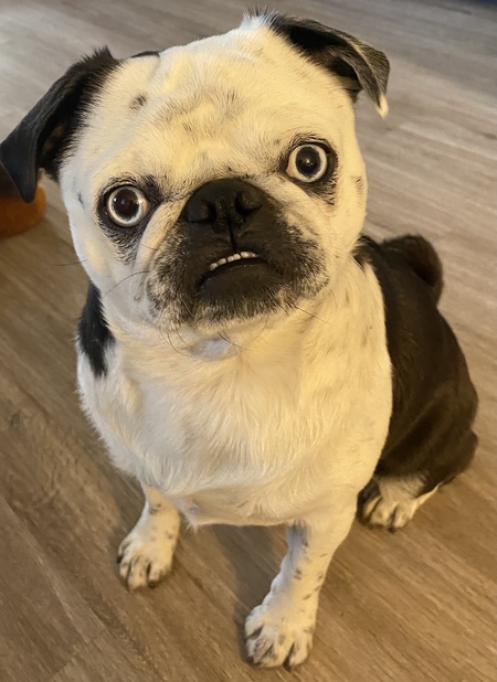 Po