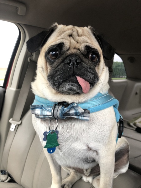 Duncan