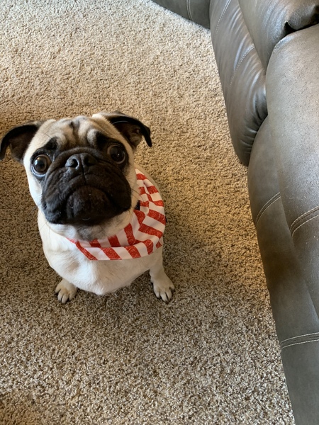 Winston
