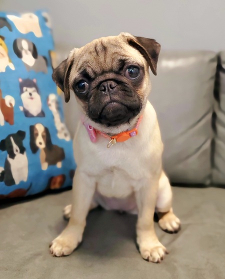 Ellie 