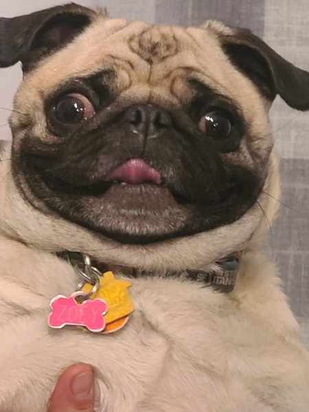 Zoey