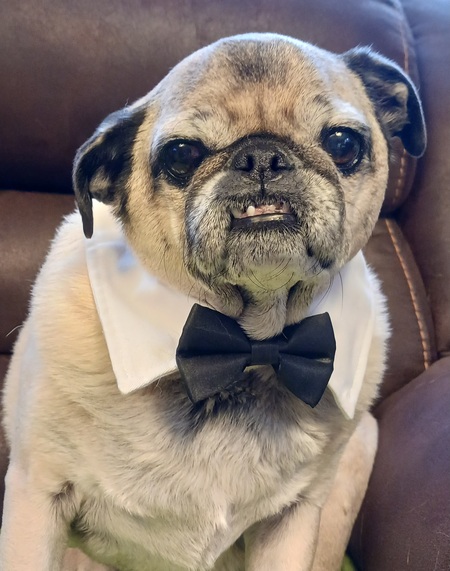 Baxter