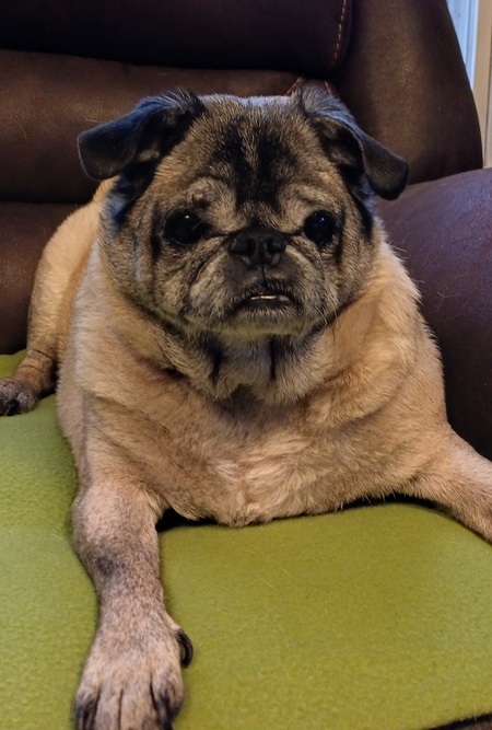 Winston