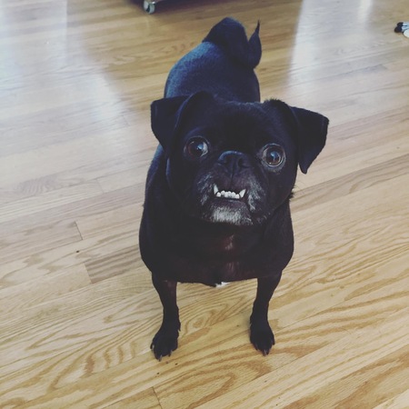 Frank