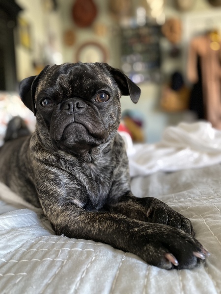 Mavis Lynn