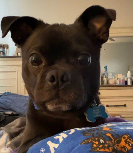 Max