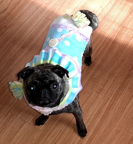 Lil Miss Novalee 