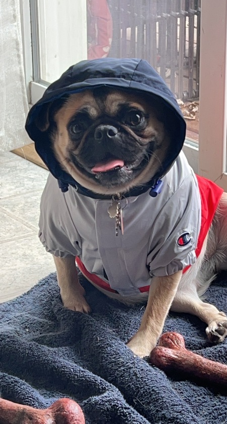 Lola