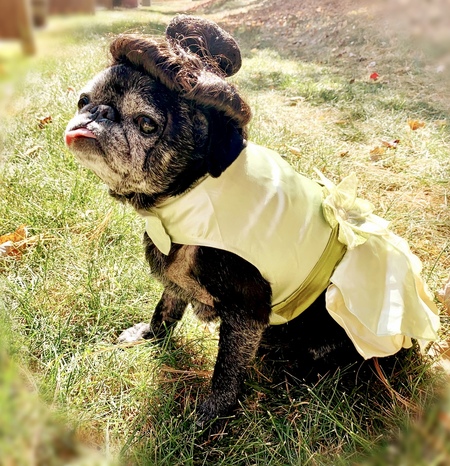 Bella