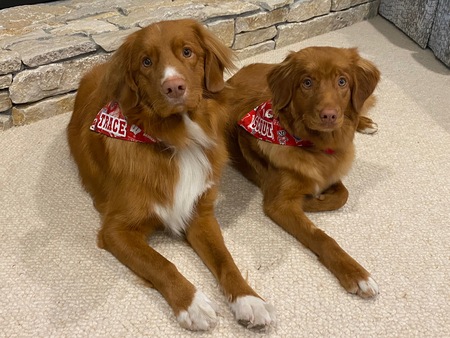 Trace & Scout
