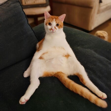 Marvin