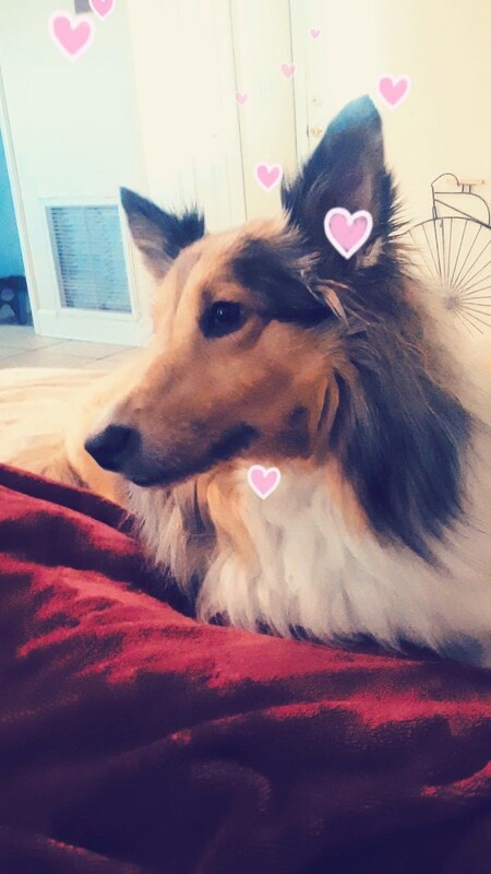 Bella-Marie