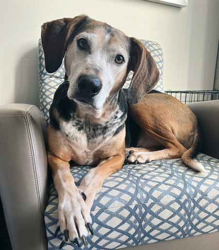 Ronan
