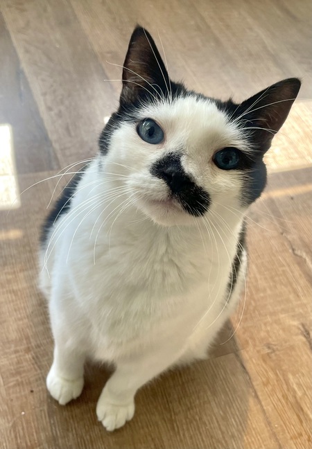 Spud