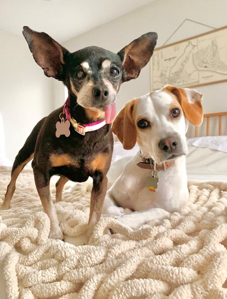 Margot & Walter