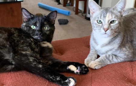 Darcy and Teagan