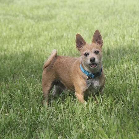 Max