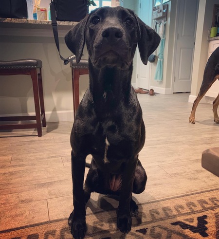 Ellie Mae