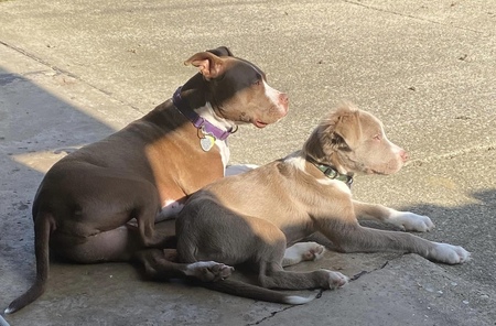Lola & Levi