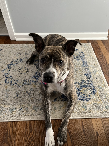 Maggie