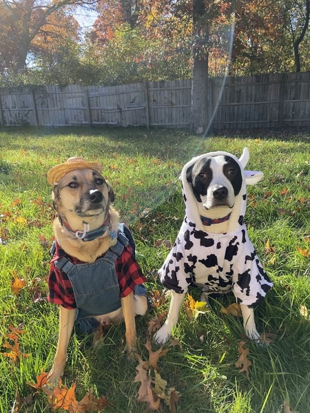 Marty McFly and Benjamin Button