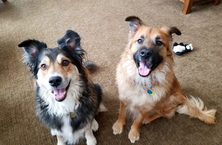 Kaia and Tumbleweed