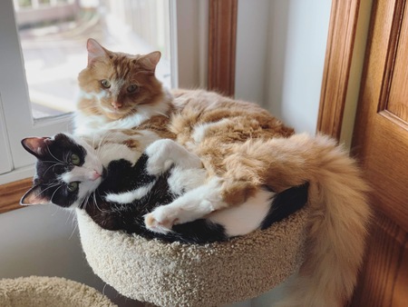 Tito & Max