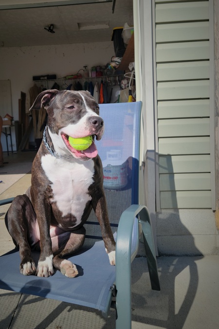 Rosie 