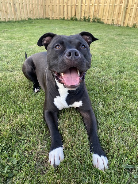 Kane